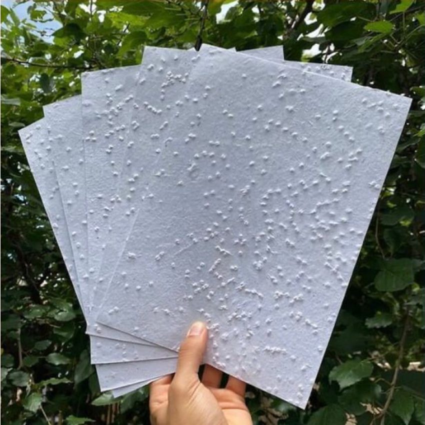 Folha A4 de Papel Semente Plantável