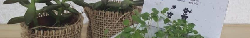 Eco Soluções Biológicas