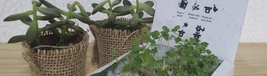 Eco Soluções Biológicas