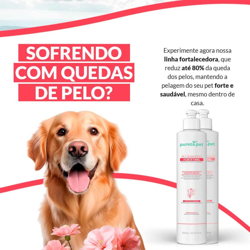 Kit Fortalecedor  Pet + Escova Anti-frizz - Pureza Pet
