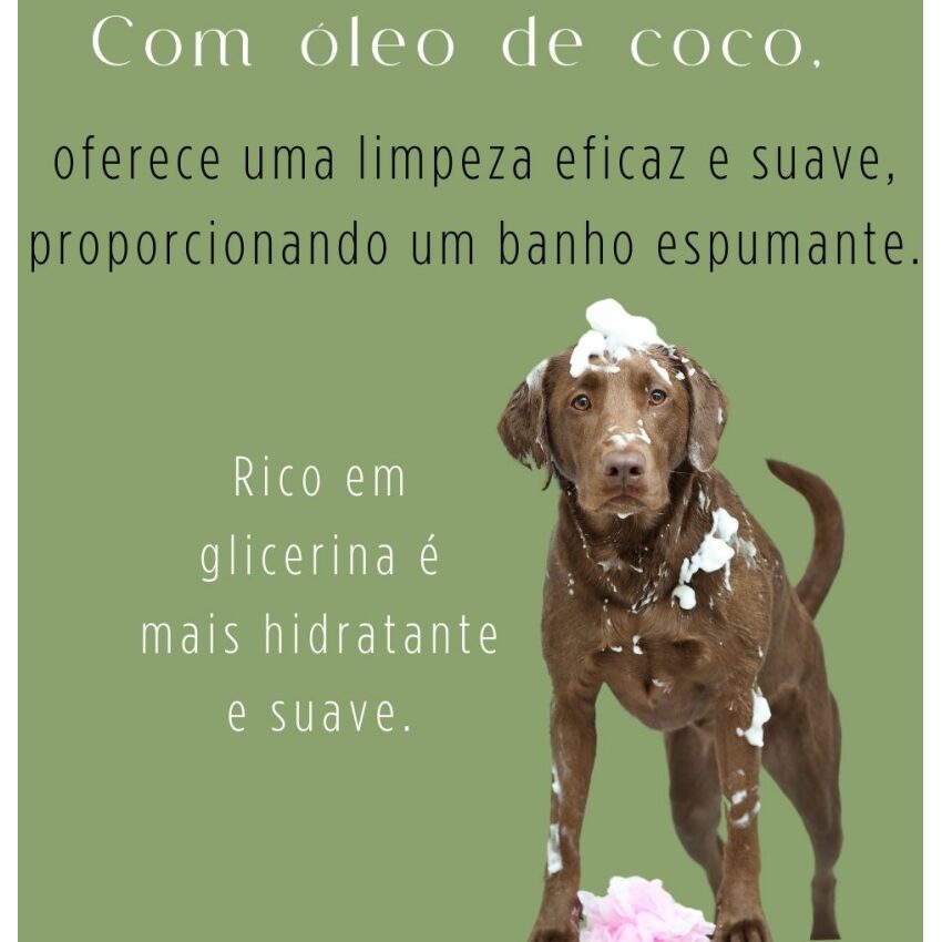 Sabonete de coco e neem - Pré Banho 100% natural
