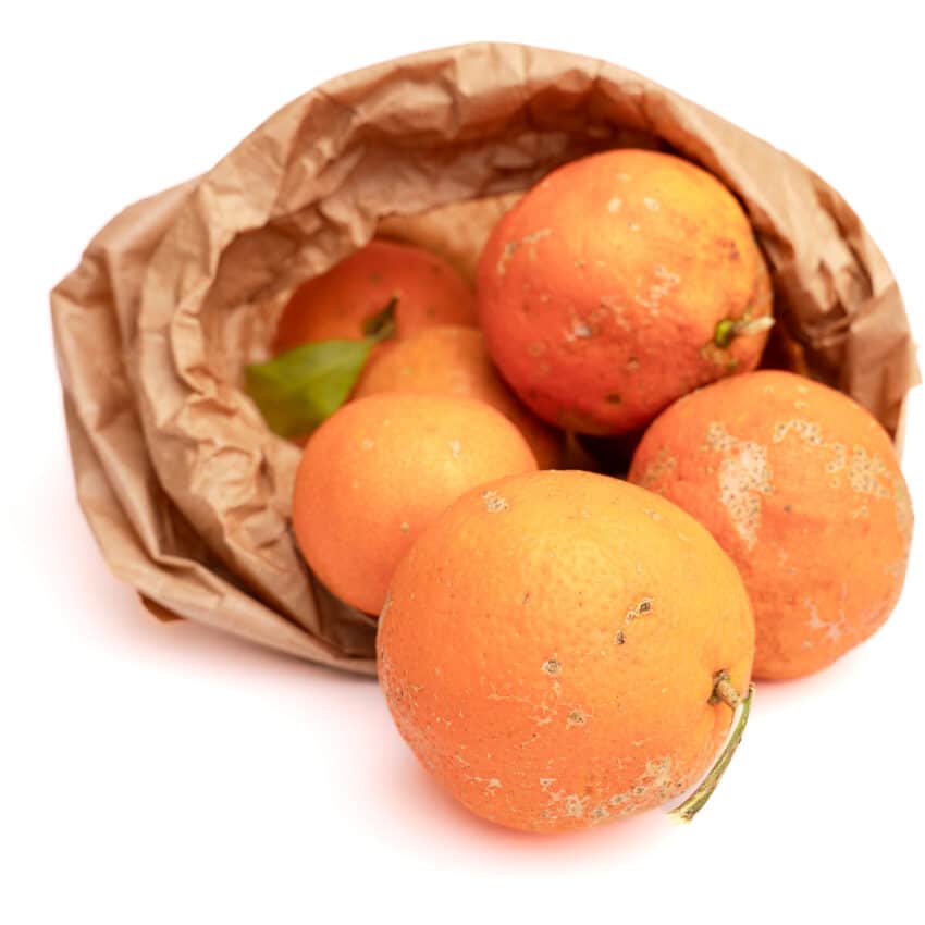 Limão Rosa Orgânico 500g - AXÁ Orgânicos