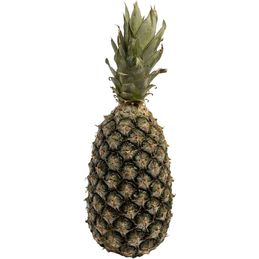 Abacaxi Pequeno Orgânico 300g - AXÁ Orgânicos