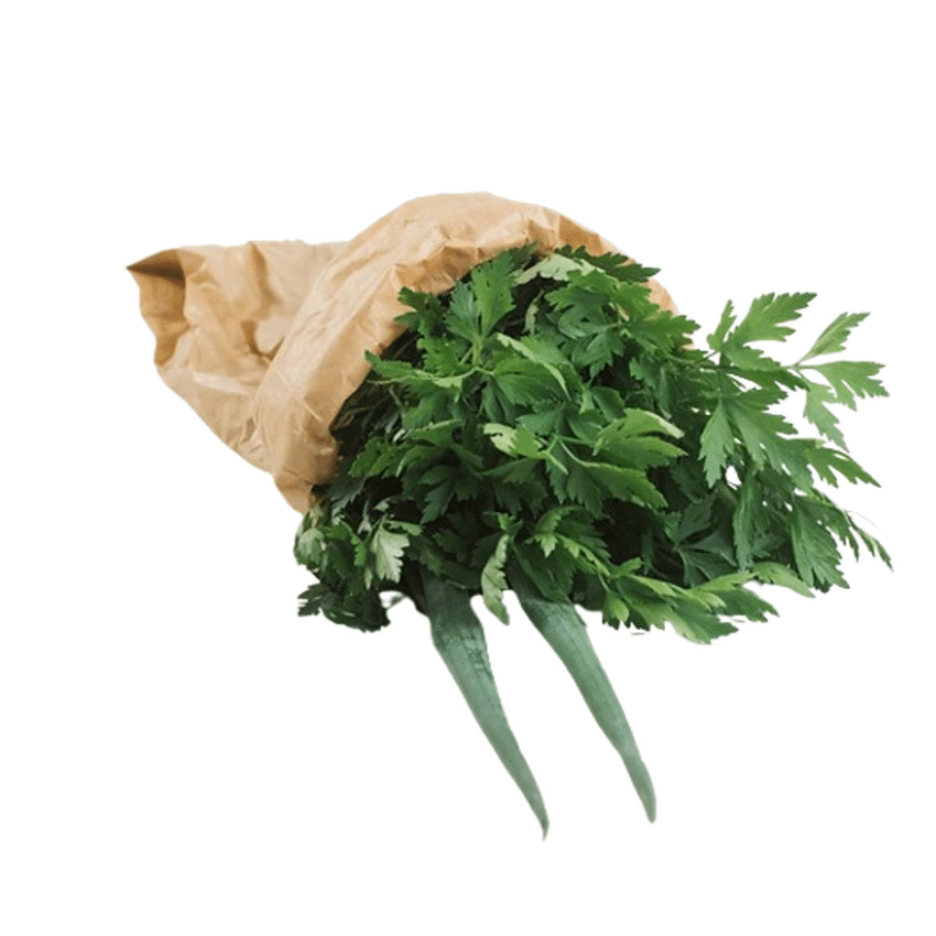 Cheiro Verde Orgânico Und Aprox 100g - AXÁ Orgânicos