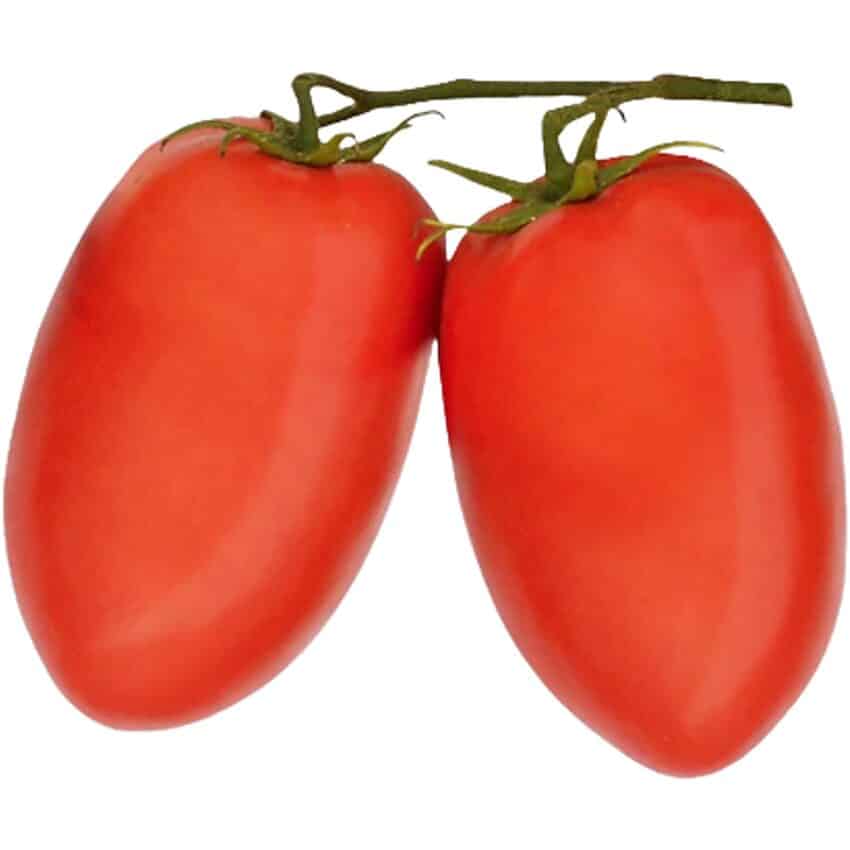 Tomate Piccolo Orgânico 250g - AXÁ Orgânicos