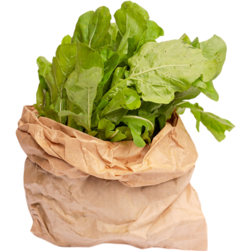 Agrião Orgânico 150g - AXÁ Orgânicos