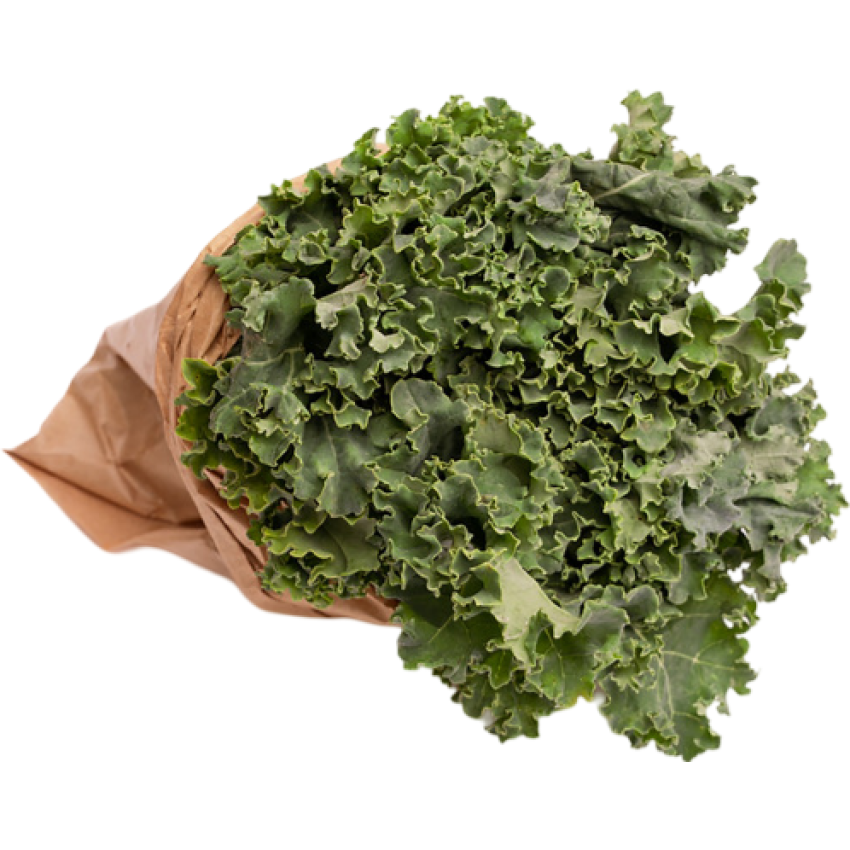 Couve Kale Verde Orgânica Und Aprox 200g - AXÁ Orgânicos