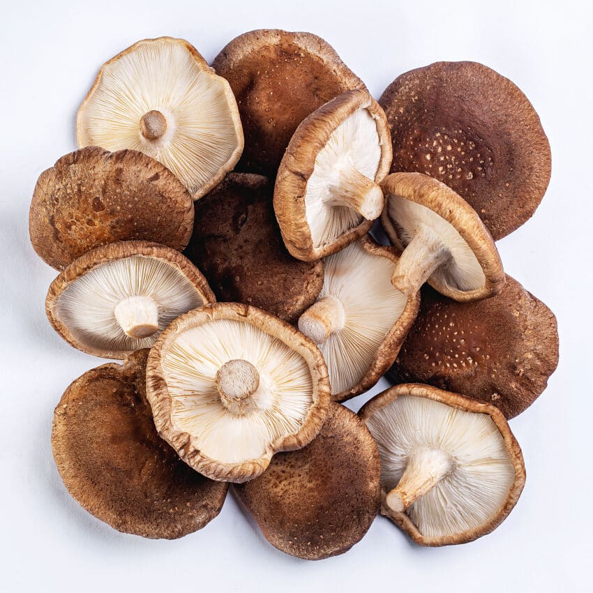Cogumelo Shitake 200g - Fungo de Quintal