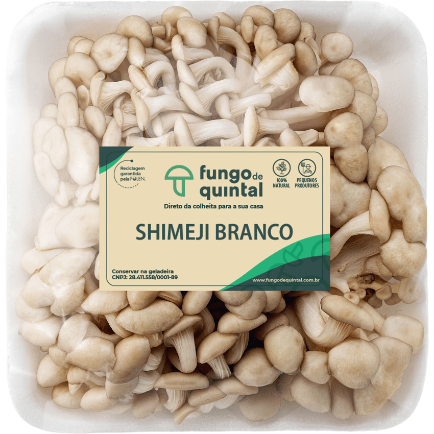 Cogumelo Shimeji Branco 200g - Fungo de Quintal