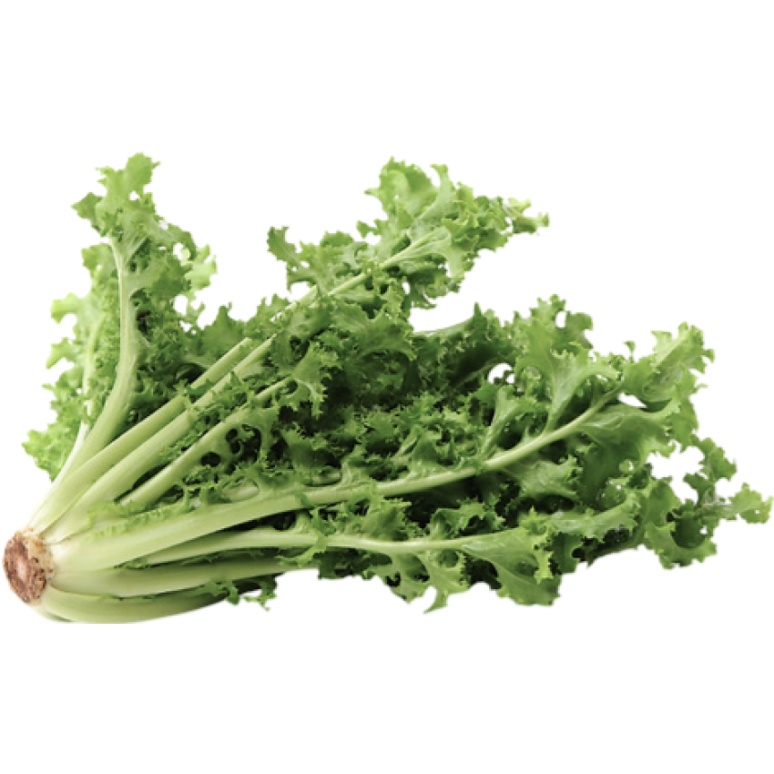 Escarola Orgânica Und Aprox 200g - AXÁ Orgânicos