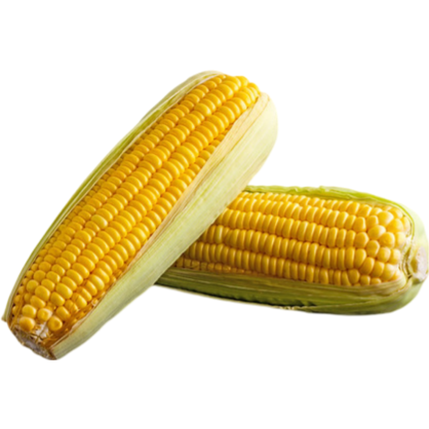 Milho Verde Orgânico 500g - AXÁ Orgânicos