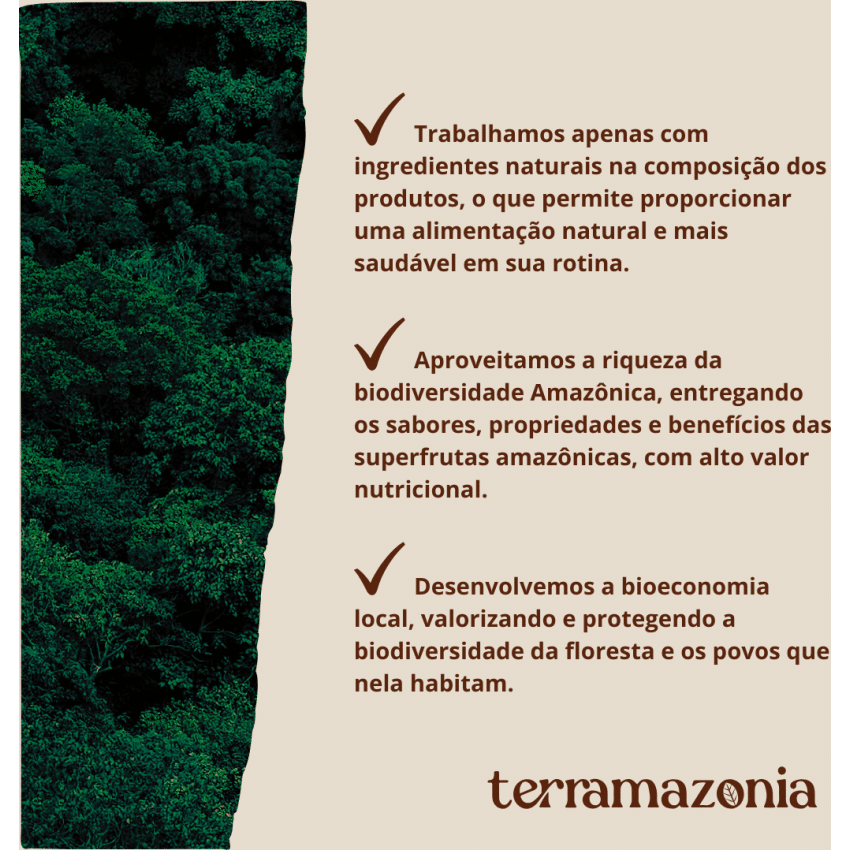 Cupuaçu em Pó 200g lata - Terramazônia